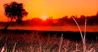 Moara Vlasiei 2 6 - 6 oct.